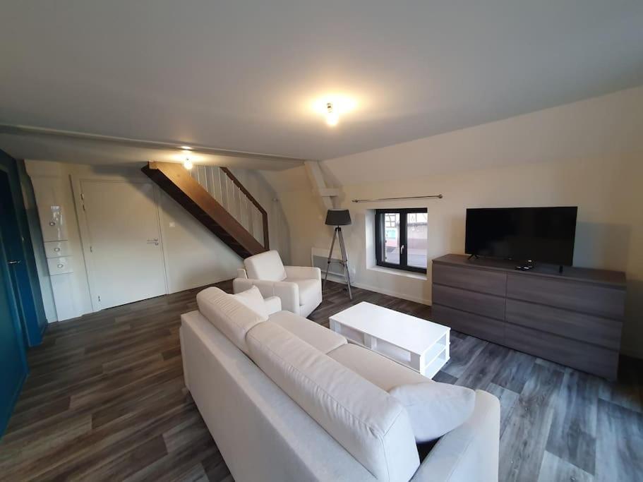 Appartement 2 Pieces Tout Confort, Aux Portes De Colmar Andolsheim Dış mekan fotoğraf