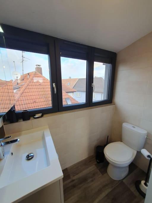 Appartement 2 Pieces Tout Confort, Aux Portes De Colmar Andolsheim Dış mekan fotoğraf