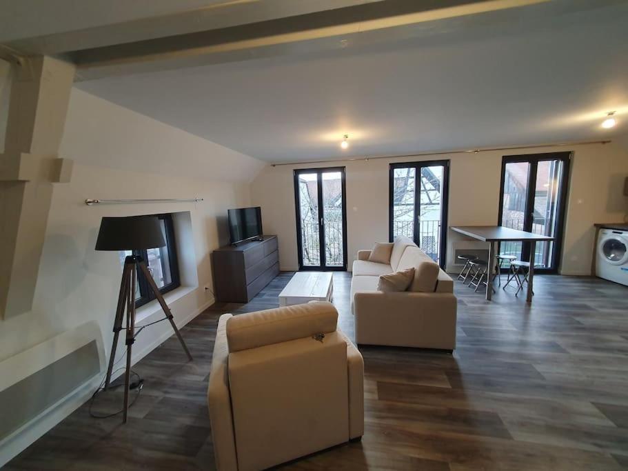 Appartement 2 Pieces Tout Confort, Aux Portes De Colmar Andolsheim Dış mekan fotoğraf