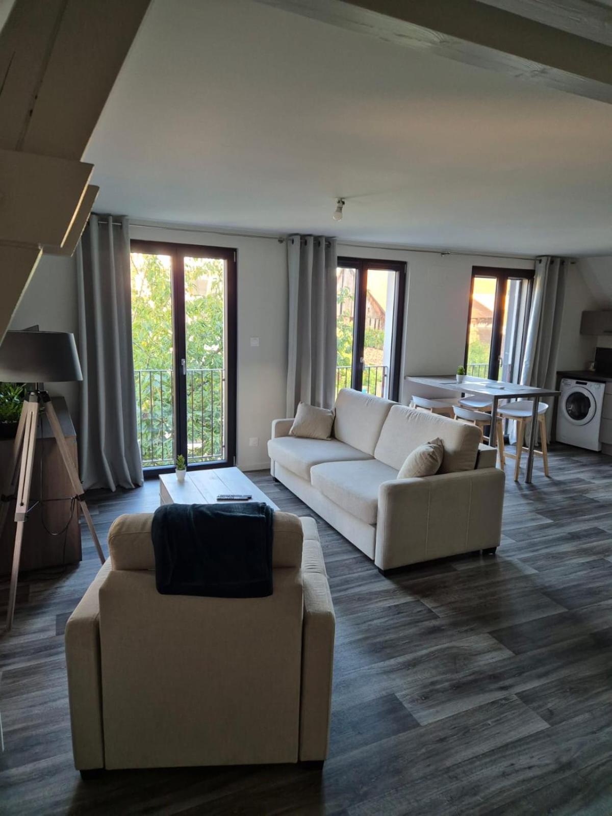 Appartement 2 Pieces Tout Confort, Aux Portes De Colmar Andolsheim Dış mekan fotoğraf